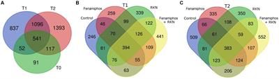 Response of Tomato Rhizosphere Bacteria to Root-Knot Nematodes, Fenamiphos and Sampling Time Shows Differential Effects on Low Level Taxa